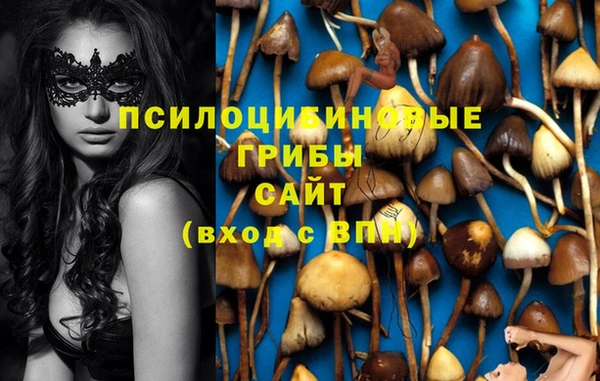 хмурый Алексеевка