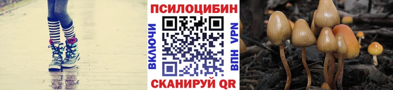 Псилоцибиновые грибы Cubensis  Усть-Джегута 